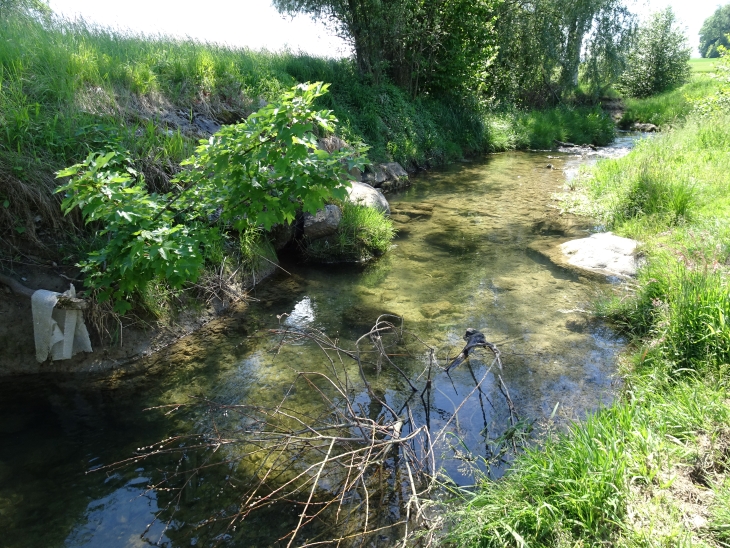 Ein Bach in der Hitzefalle Restwasserstrecke... Deswegen müssen wir lernen wie wir unsere Gewässer kühl halten