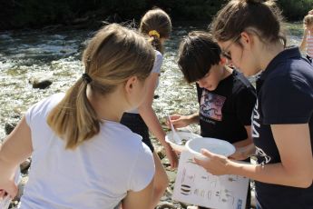 Drei Menschen neben einem Fluss schauen in eine weisse Schale mit kleinen Wassertieren.